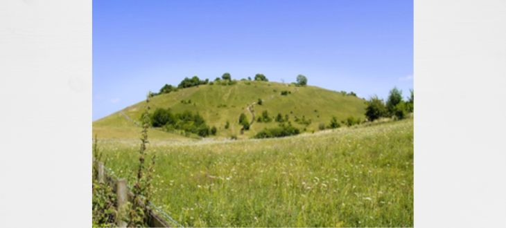 Walk and Talk at St Catherine’s Hill   