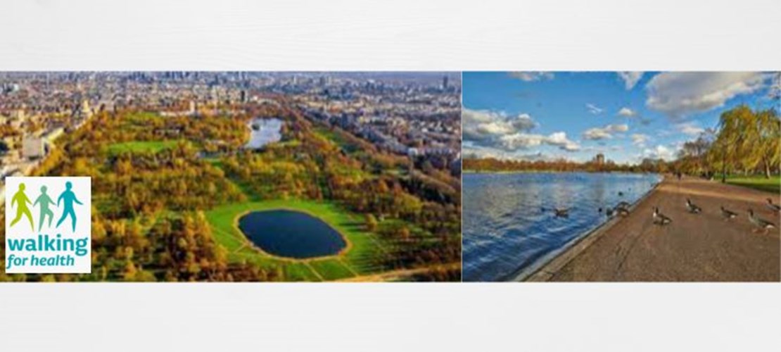 London Netwalking - Hyde Park
