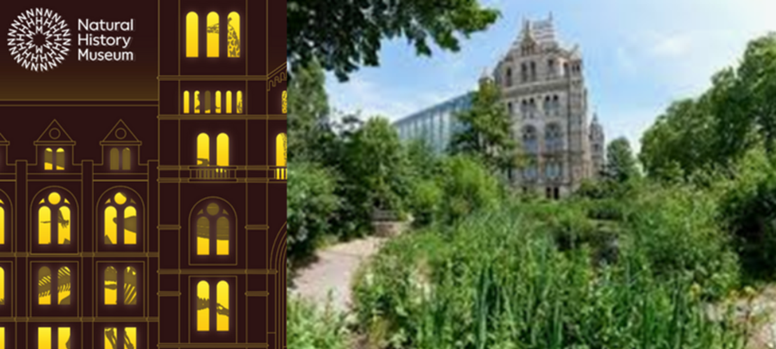 Patron’s Night at the Natural History Museum