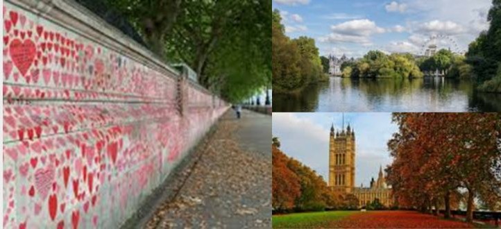 September Netwalk to St James's Park