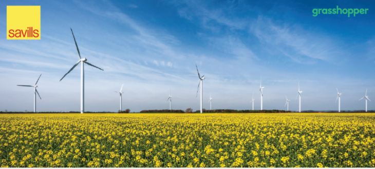 Planning Update and DNS to Significant Infrastructure Projects (SIPS) - what does the new legislation mean?