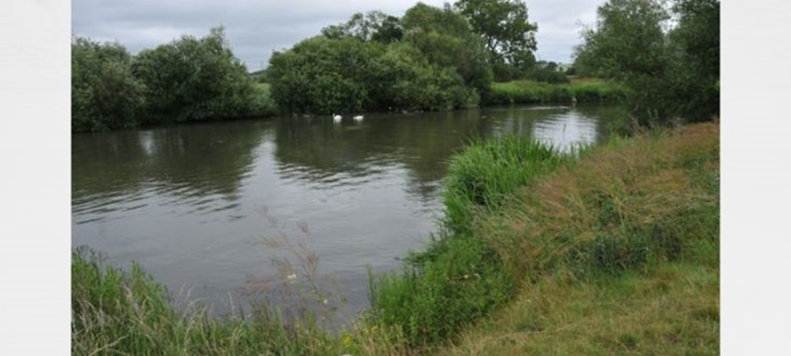 Thames Valley November Networking Walk