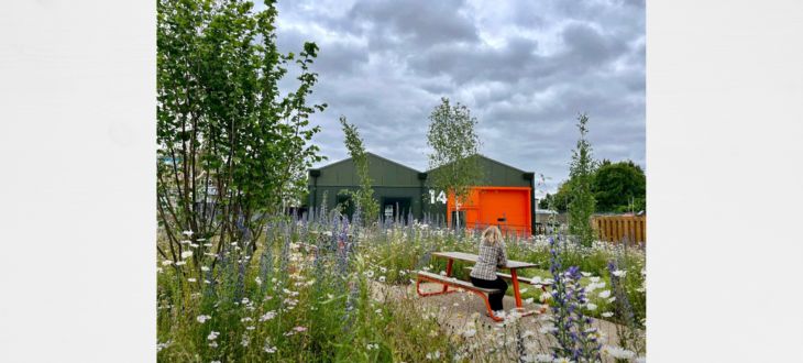 Building With Nature