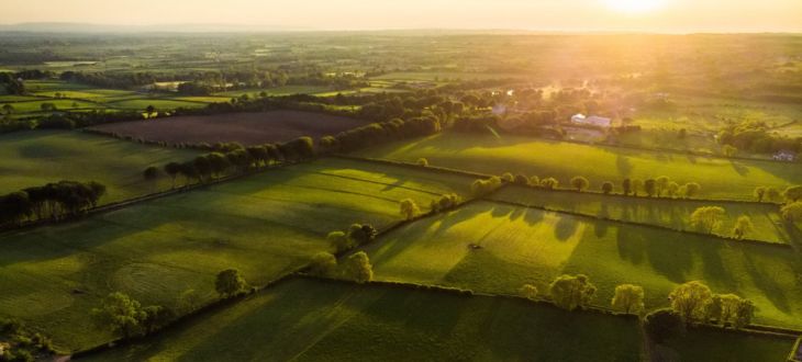 Spring Networking Walk at Hagley Woods