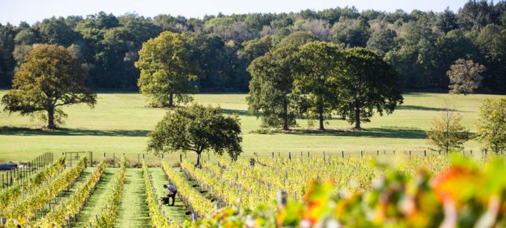 SAVE THE DATE: Solent Summer Party