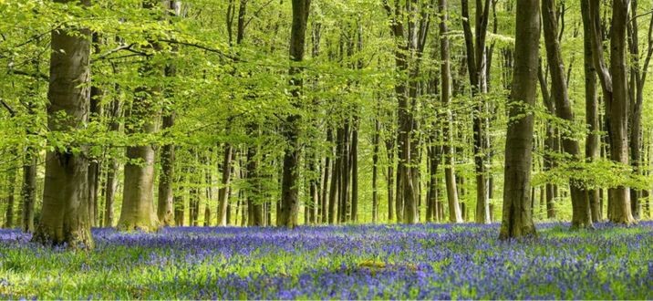 Micheldever Walk and Talk 