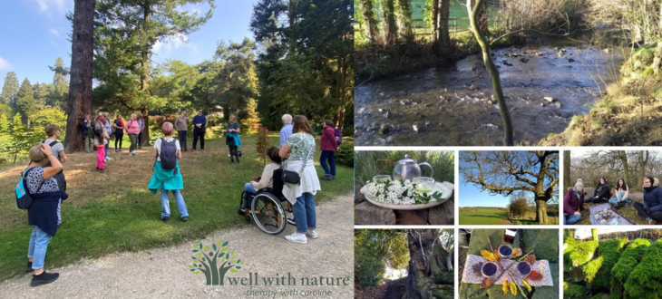 Forest Therapy, Sheffield