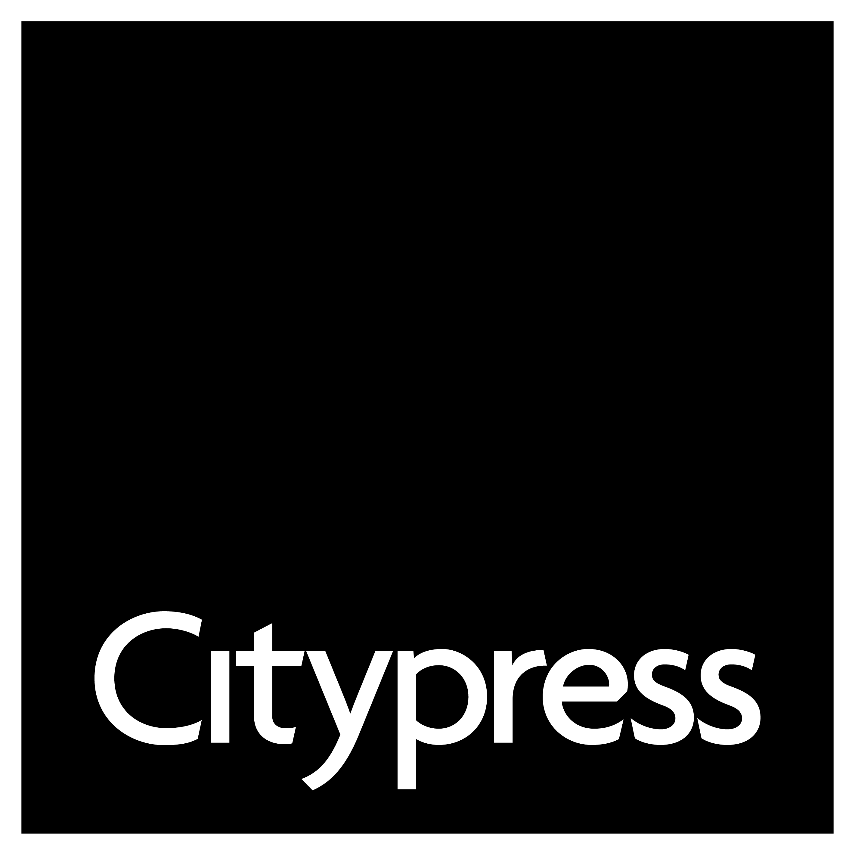 Citypress Logo