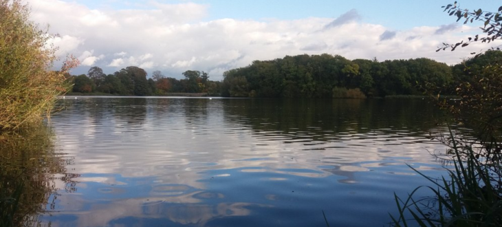 Lunchtime Walk and Talk – Coate Water Country Park 