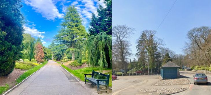 #1 Aberdeen Summer Netwalking and Wellbeing - Hazlehead Park