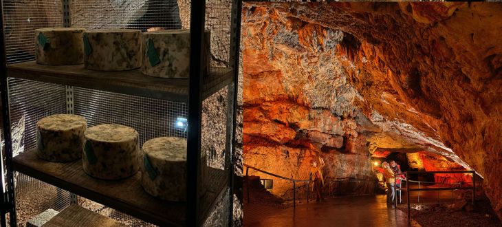 Kents Cavern Cheese Tasting Experience and Tour