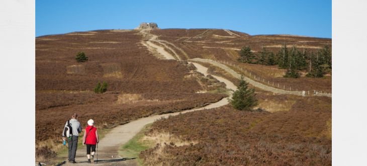Family Netwalk to Moel Famau