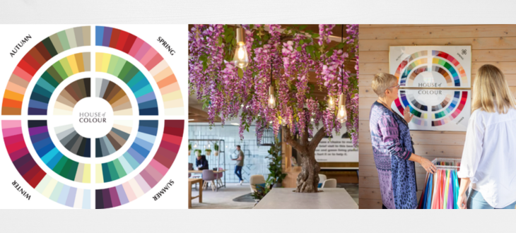 Colour Theory Workshop