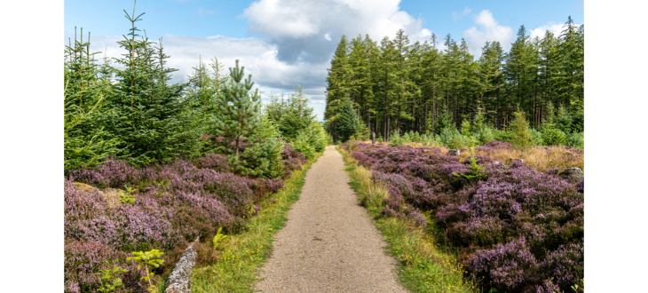 November Netwalking and Wellbeing – Inverness